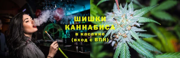 гашик Арсеньев