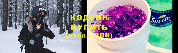 гашик Арсеньев