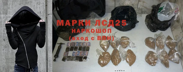 гашик Арсеньев